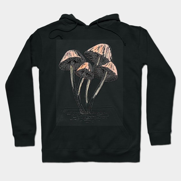 Sherbet mushrooms Hoodie by ncprocter